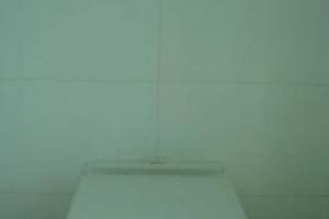 View 5 from project Project In Progress