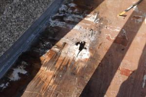 View 9 from project Flat Roof Repairs