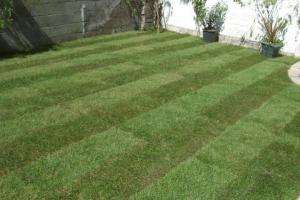 View 11 from project Indian Sandstone Patio